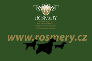 rosmery-visual-identity-02